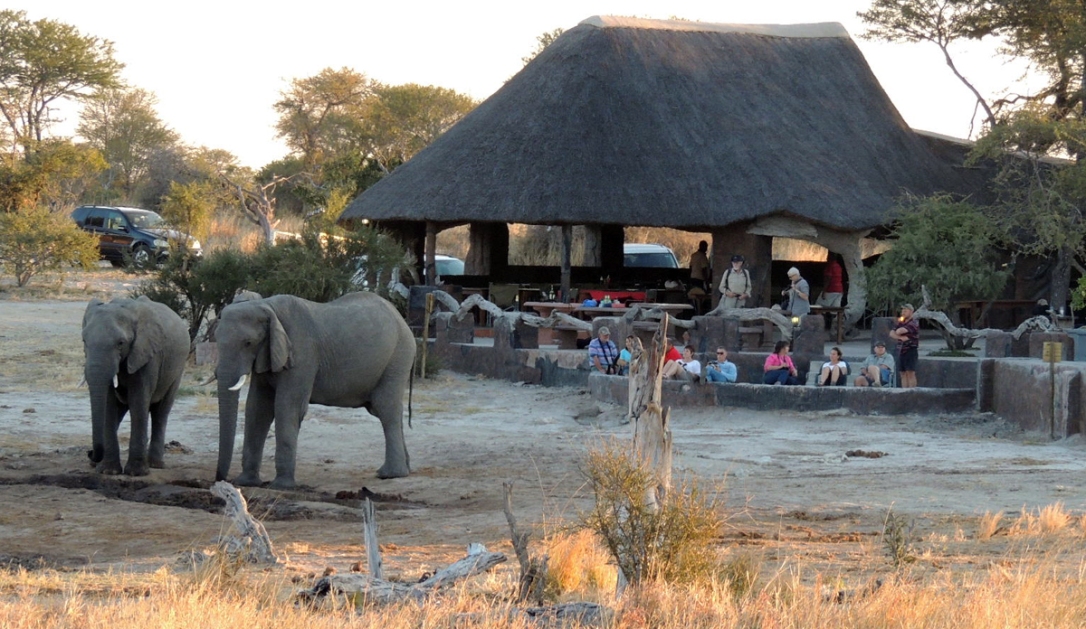 elefantes_africa4x4_africa_safari_expedicao4x4_overland4x4_namibia_joaorobertogaiotto_002