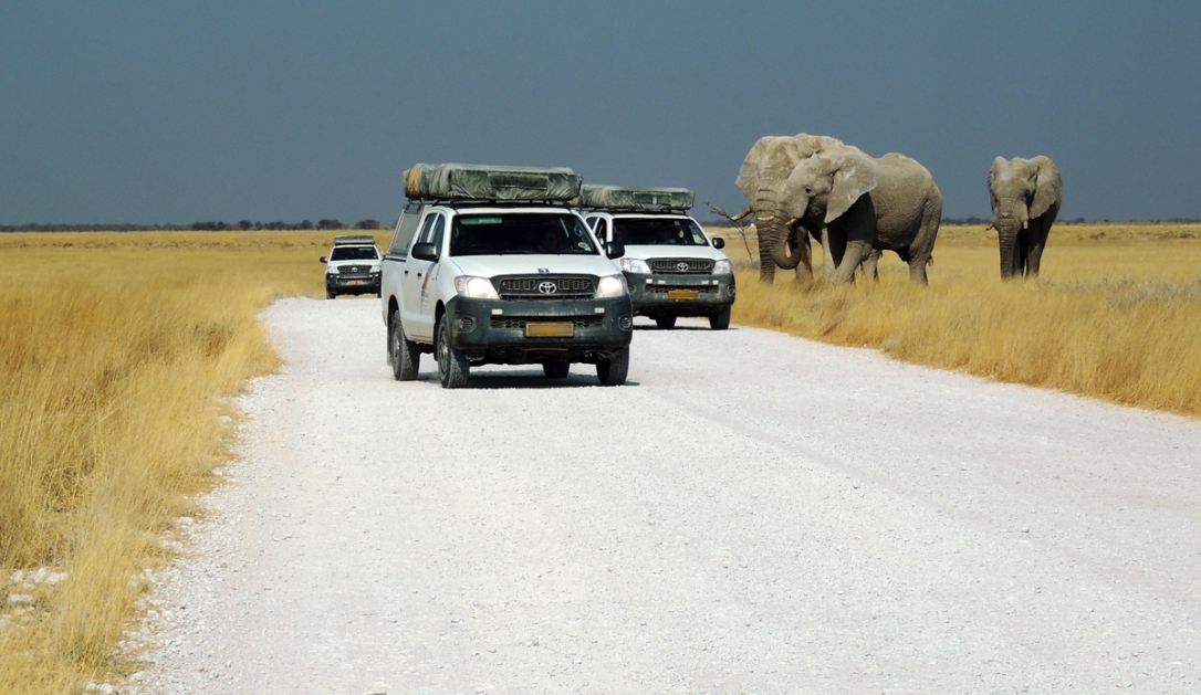 elefantes_africa4x4_africa_safari_expedicao4x4_overland4x4_namibia_joaorobertogaiotto_006